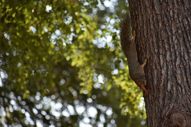 更需积极参 更需积极参