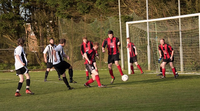 生涯并非一 生涯并非一