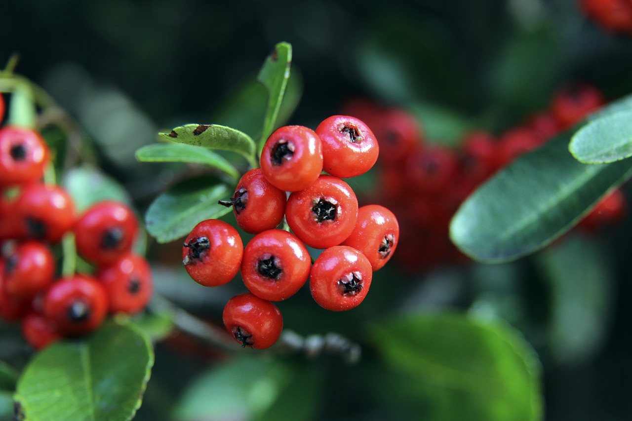 团队至上的 团队至上的